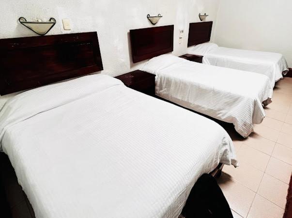 Hotel Nueva Antequera Oaxaca المظهر الخارجي الصورة